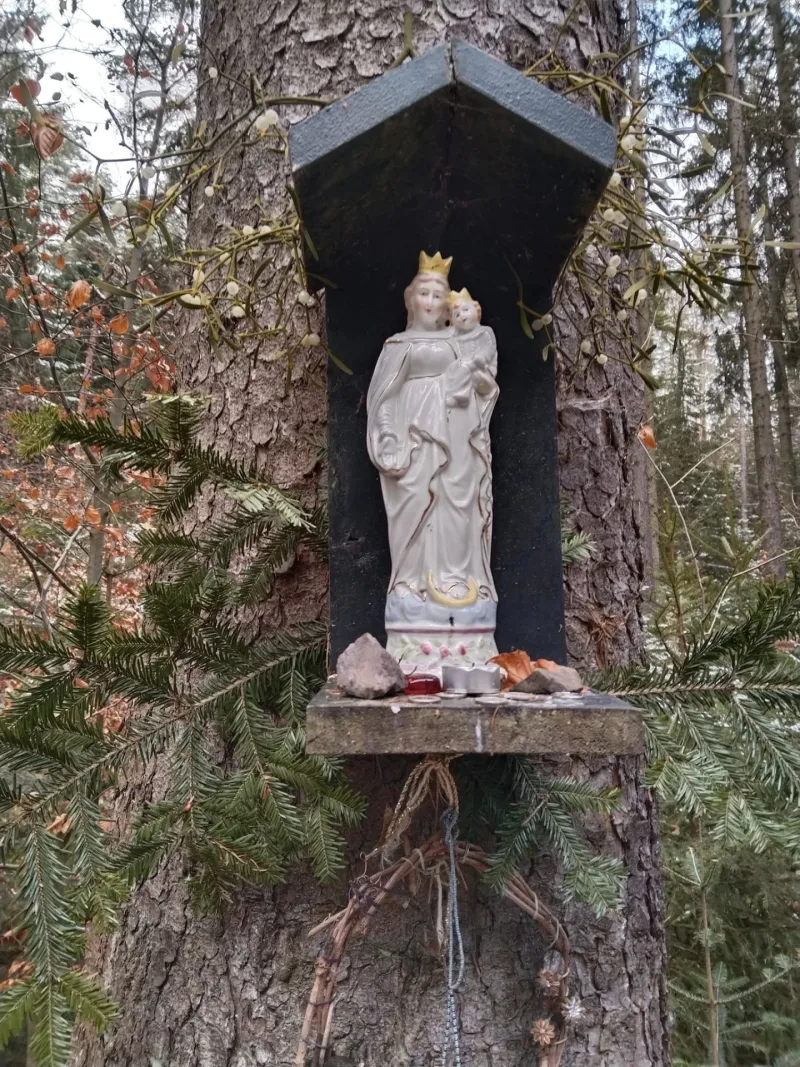 15. 12. 2024 Běhovýlet z Jinec na Studený vrch
