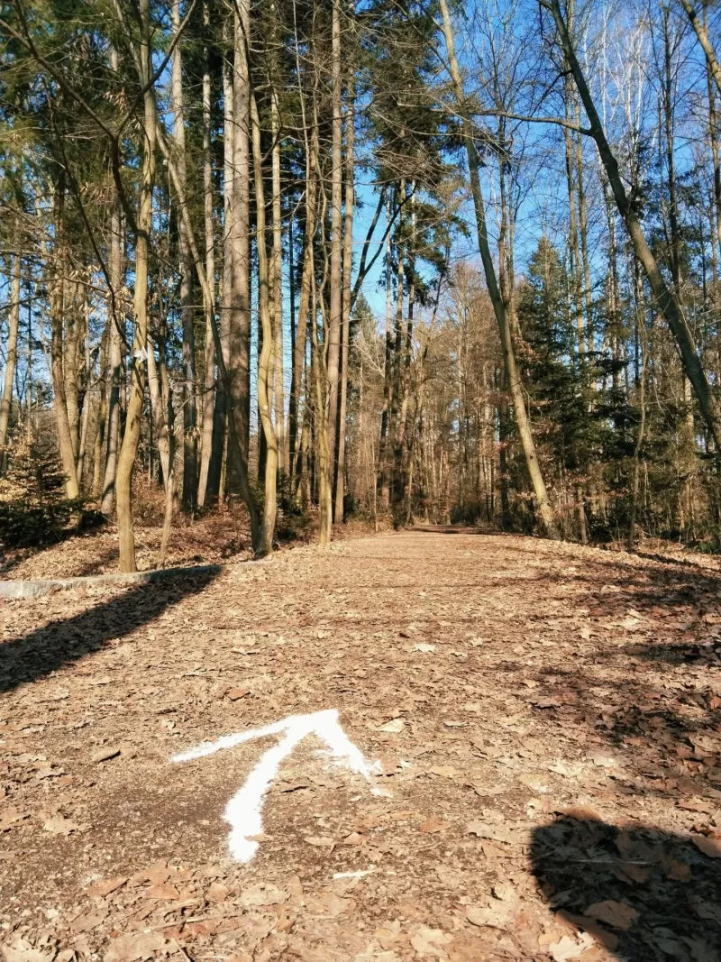 22. 2. 2025 7. ROČNÍK BĚHU S ČELOVKOU DRAŽOVKOU