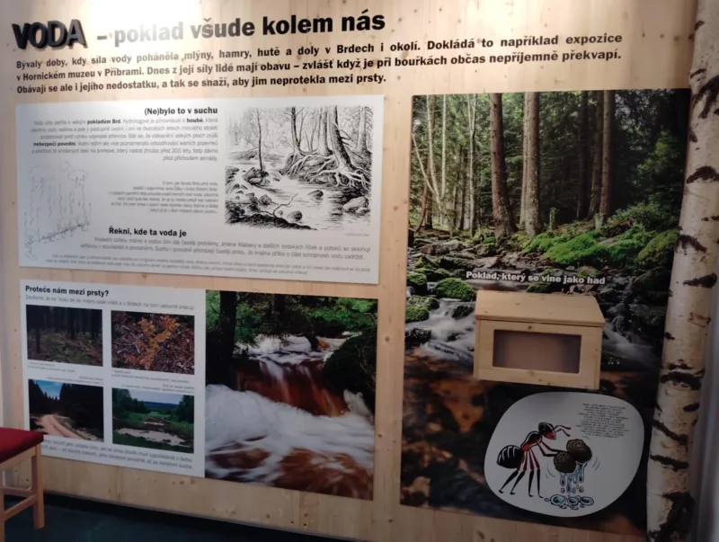 11. - 15. - 8. 2025 Příměstský tábor ALBIXON