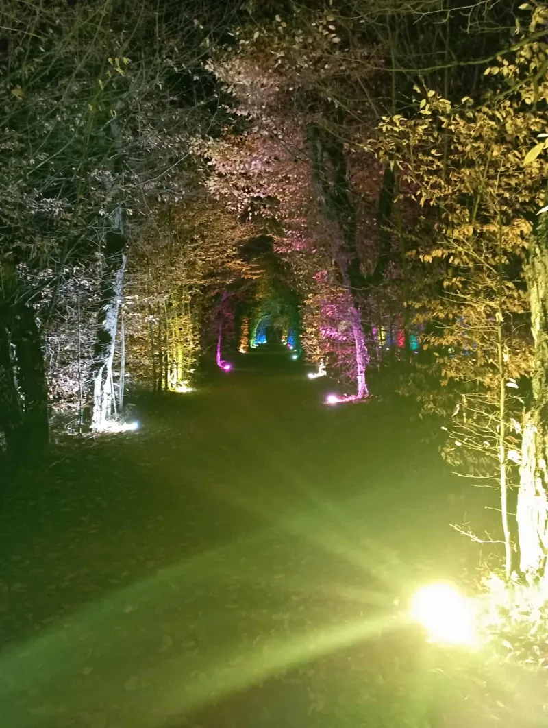 11. 11. 2025 SVATOMARTINSKÁ SVĚTÝLKA