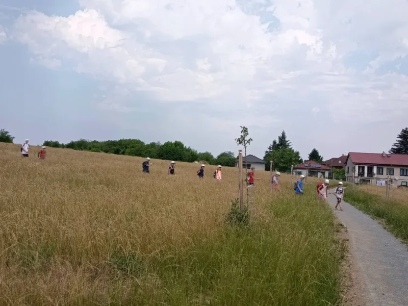 29. 6. - 3. 7. 2026 PT sportovně turistický