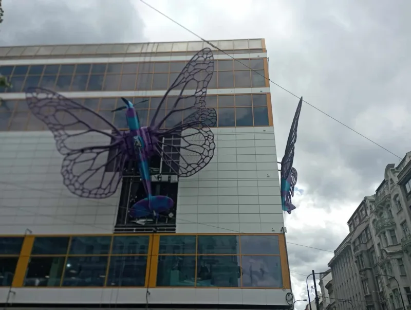 20. 5. 2024 Promoce virutální univerzity třetího věku